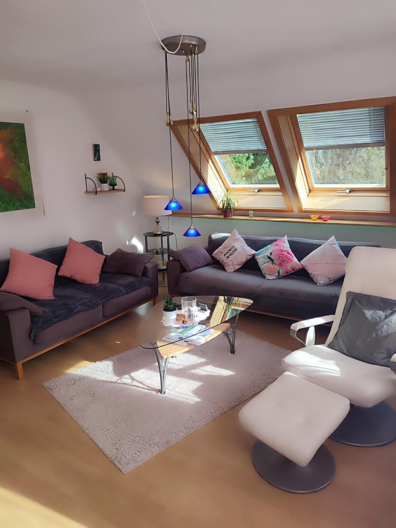 Haus Wander-Lust Apartment Lauterbach  Ngoại thất bức ảnh